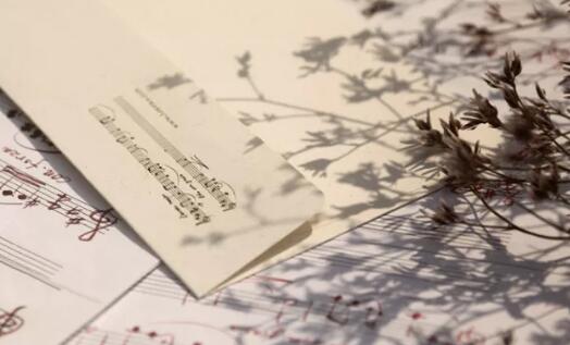 明歌最新,小巷深处的独特音符