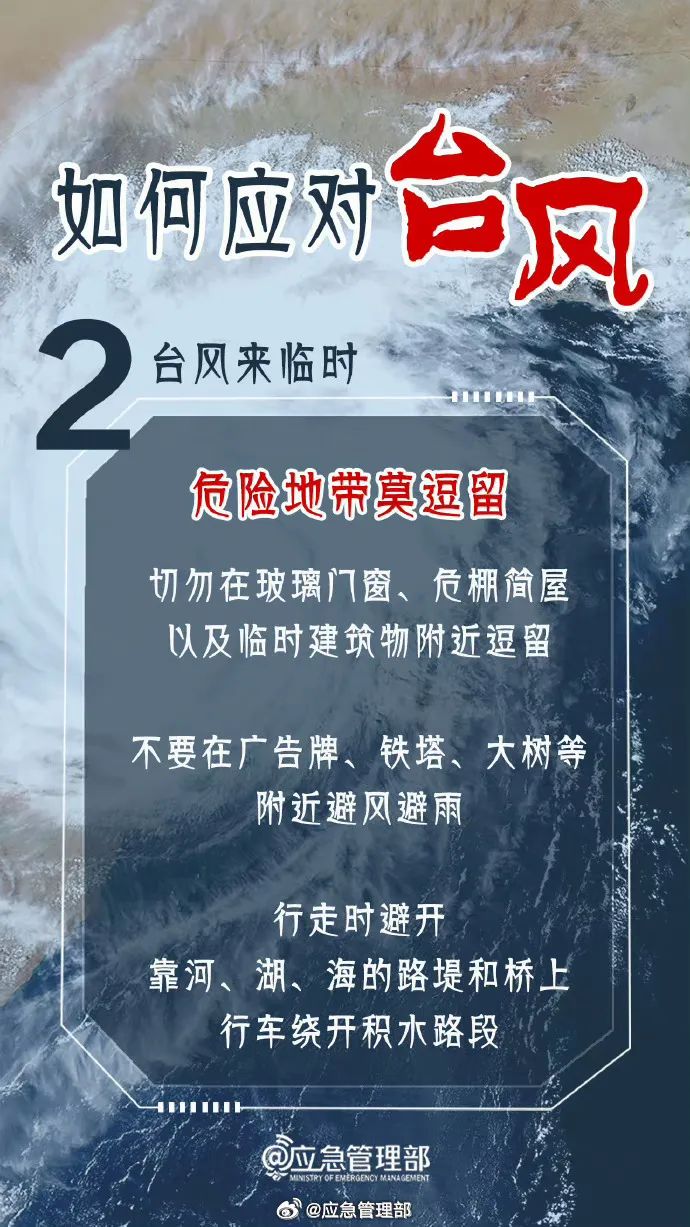 6号台风最新动态及小巷特色小店大揭秘,独特风味与隐藏版魅力的探索