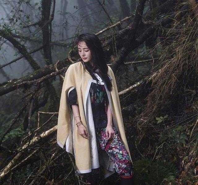 杨幂引领自然之旅,探寻美景中的内心宁静