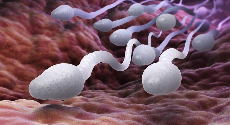 精子窝最新地址揭秘,一段温馨有趣的日常故事开启!