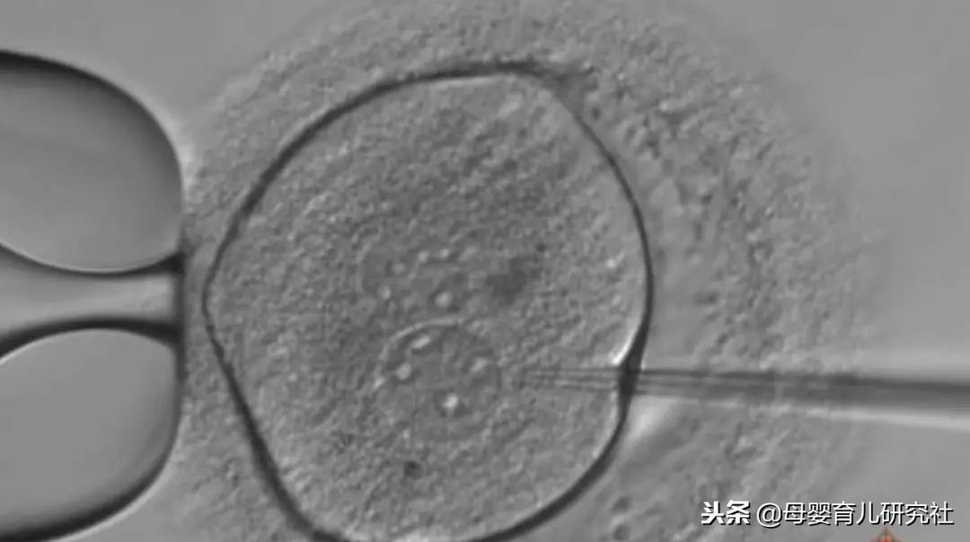 艾滋病最新进展,变化带来希望,学习赋予力量