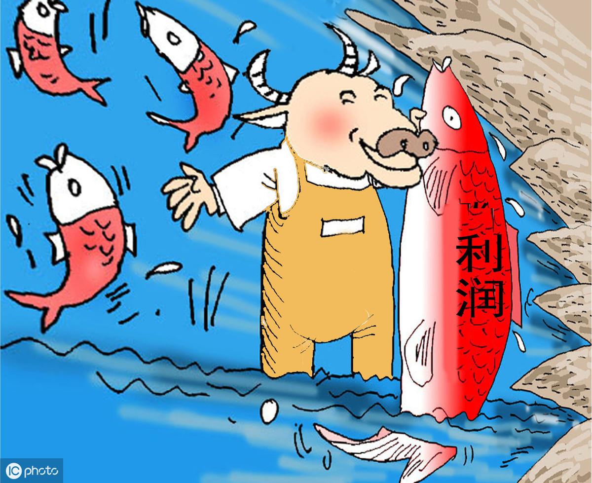 掌握财富增长的关键,最新银行股动态概览📈