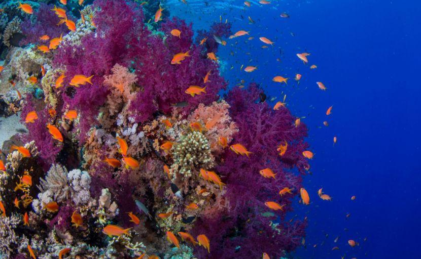 小岛南最新探索,揭开神秘未知之地的面纱✨