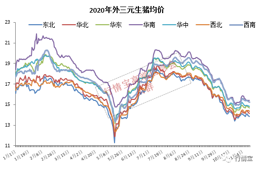 最新今日猪价分析与展望,市场趋势解读及未来预测