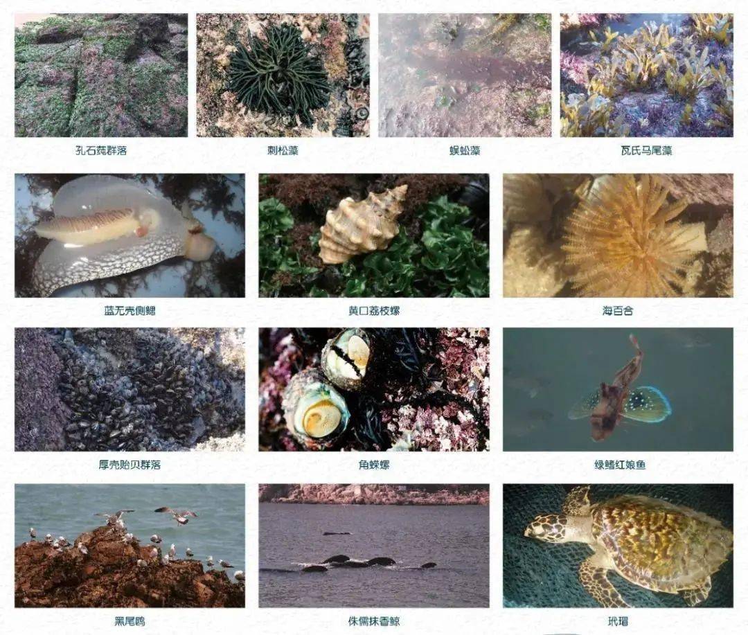 北京今日疫情最新情况及科技赋能下的健康新生活守护