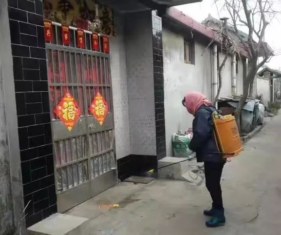 H7N9疫情下的独特小巷奇遇,街角深处特色小店的隐秘故事