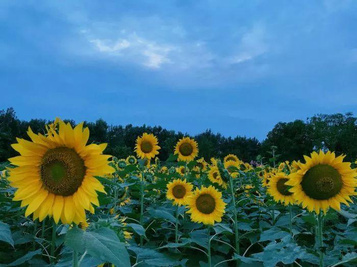 成都新闻网最新消息热议小红书中!