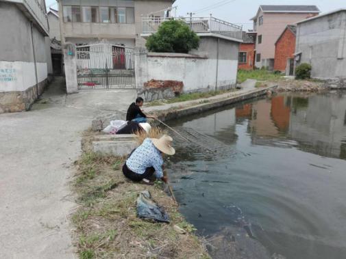 最新环保督查,成效与挑战的并存观察