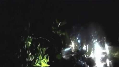 🌃夜晚独家揭秘,最新视频震撼碰撞,不容错过!📲