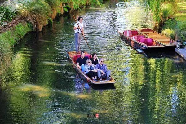 新西兰地震最新动态,影响与应对措施