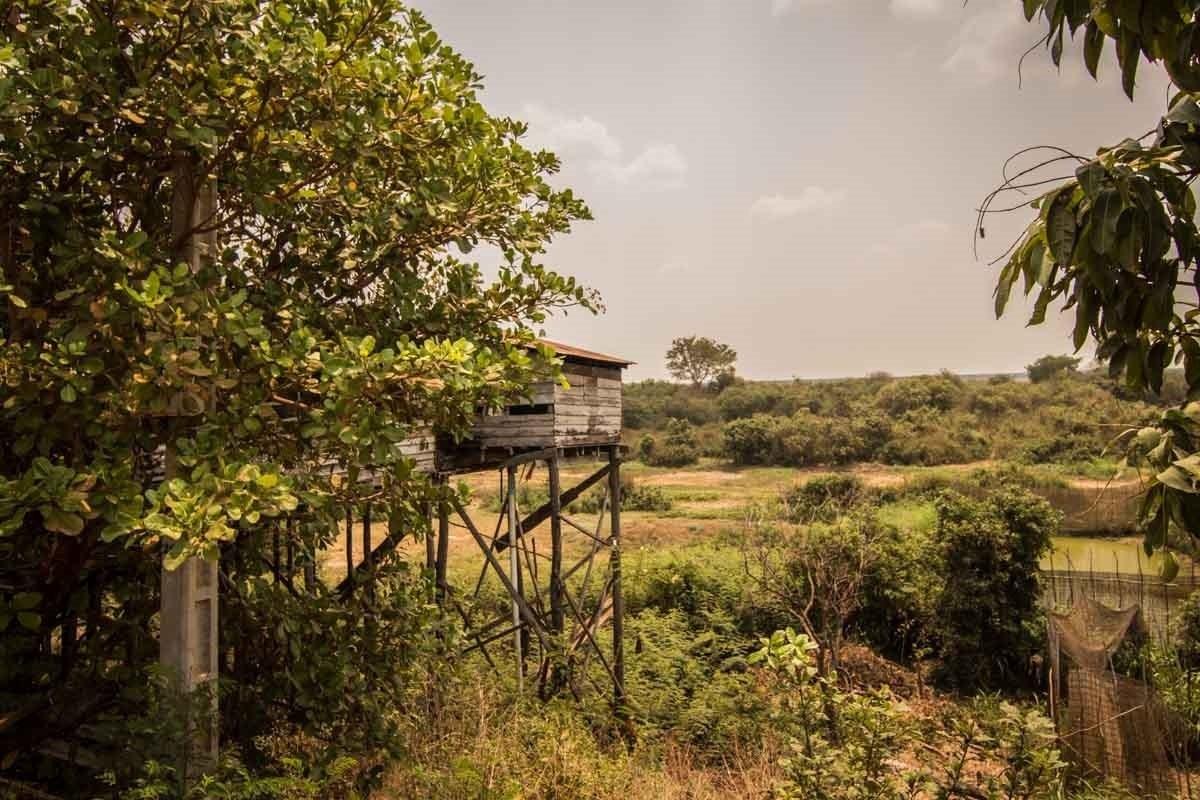 泰国台风最新动态与小巷中的隐藏瑰宝揭秘