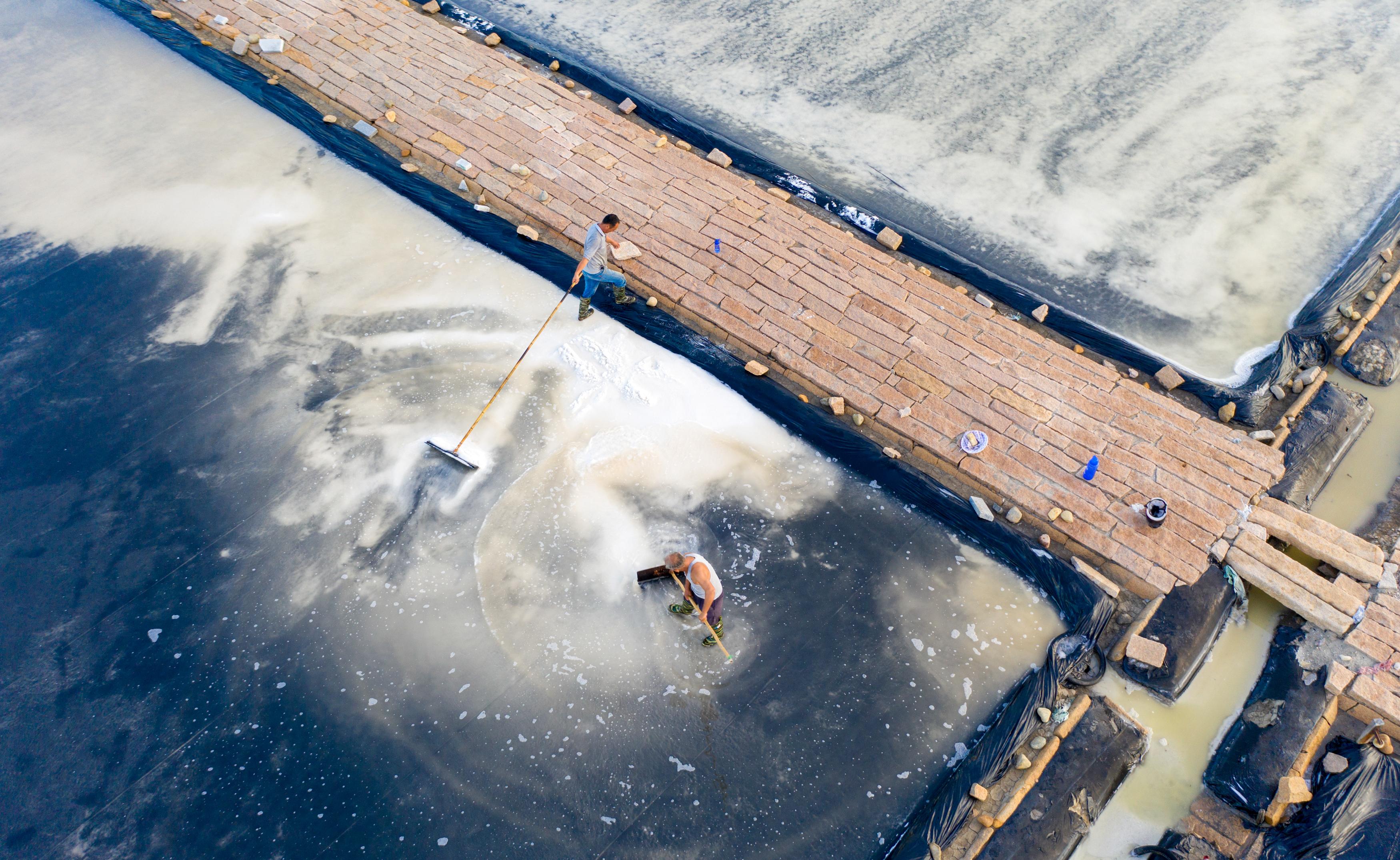 最新单扇舞,舞动人生,自信与成就感的绽放乐章