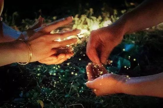 深夜最新,星光下的温馨趣事