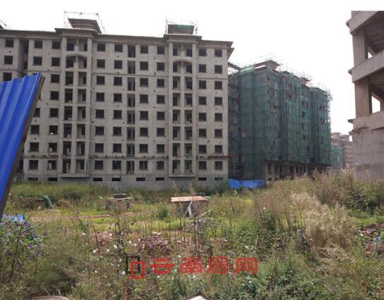 仁泽地产最新动态,家的温暖与友情的纽带故事揭秘