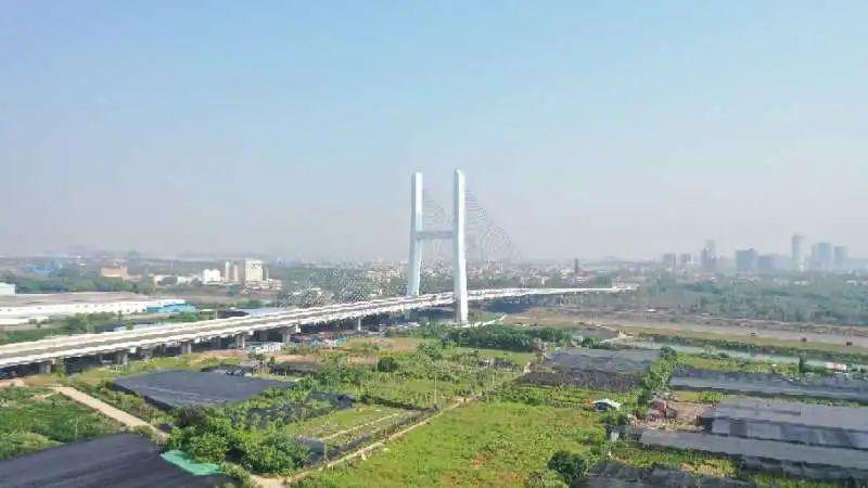 佛山海华大桥最新动态更新,最新消息揭秘