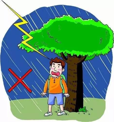 7号台风洛克最新消息,台风动态与温馨日常故事