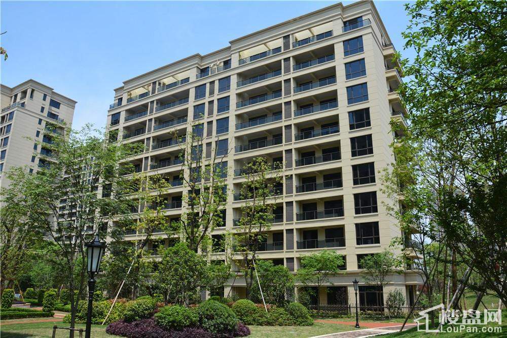 新湖庐山国际最新房价揭秘,背景、动态与地位概览