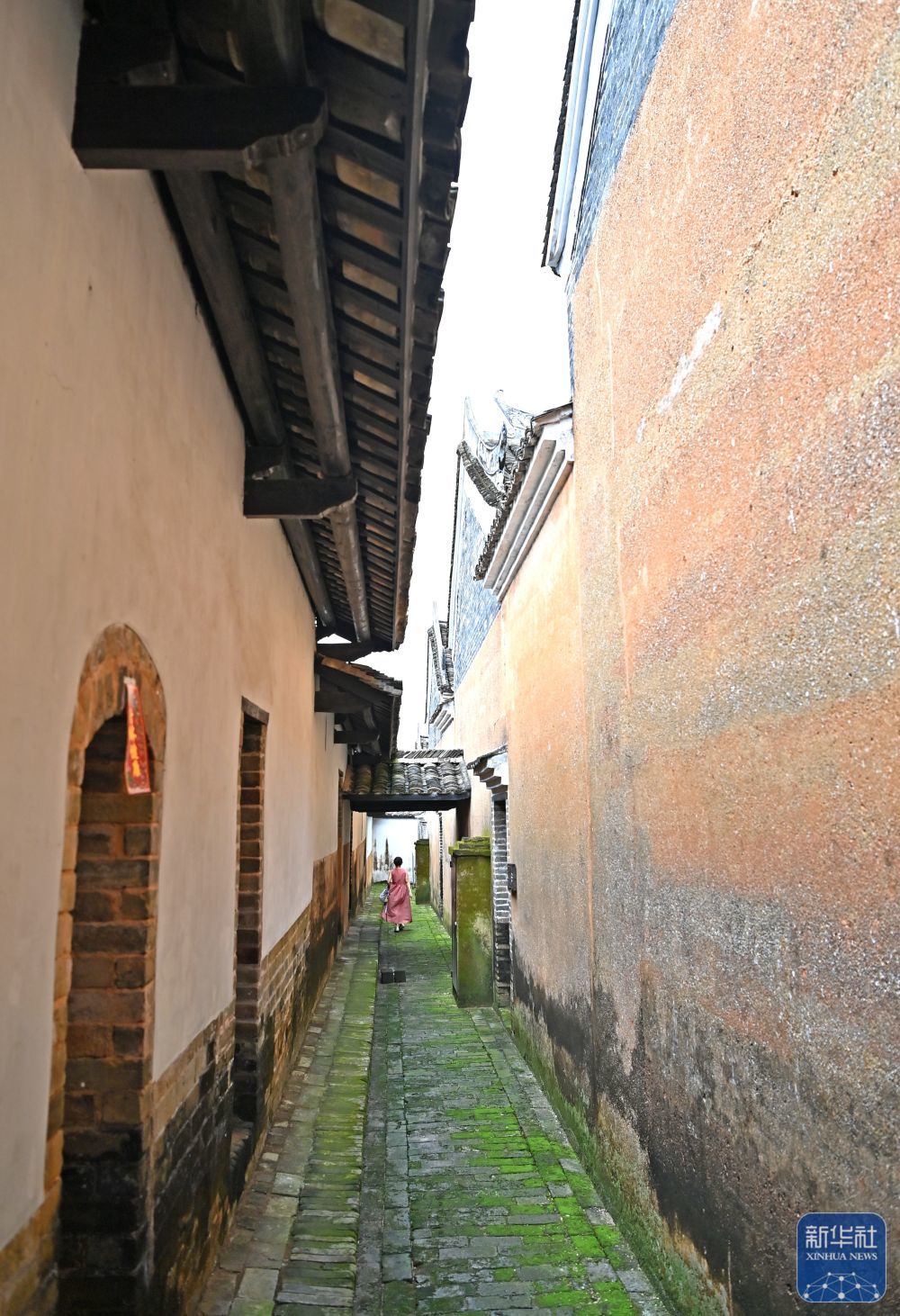 寇兴广最新消息揭秘,小巷深处的独特风情