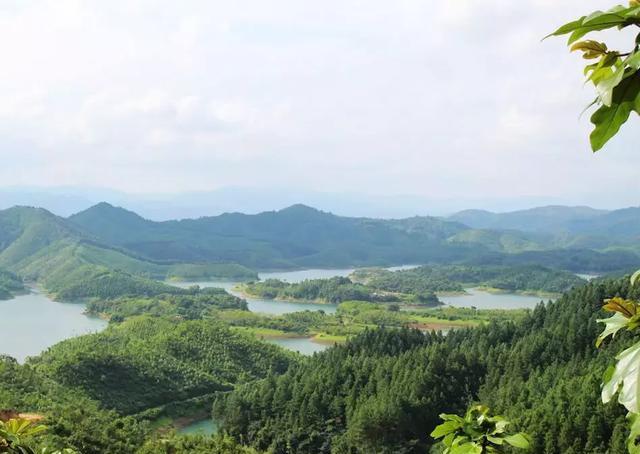 阳江森林公园,巷弄深处的绿意秘境与美食瑰宝揭秘最新动态