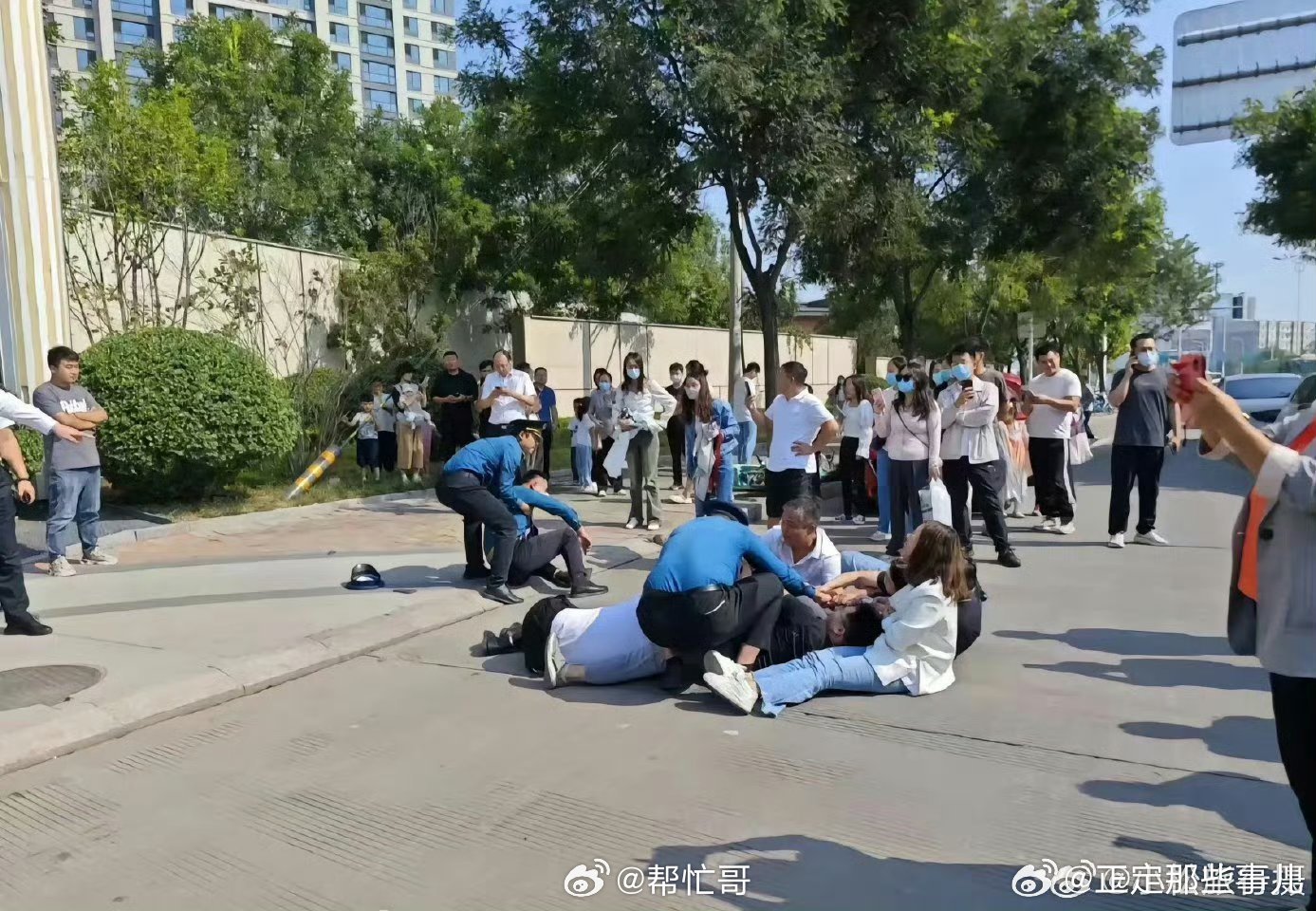 石家庄高新区,新闻热点与友情陪伴的温馨瞬间